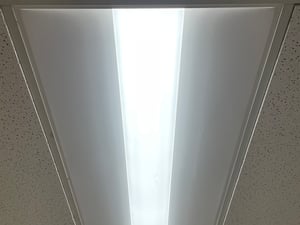 IMG_3960