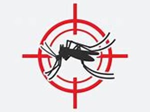 OIP