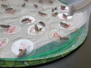 Screenshot_20240227-185849_Gallery