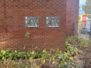 thumbnail_IMG_5589
