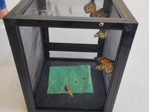 Resized-20220909-150914