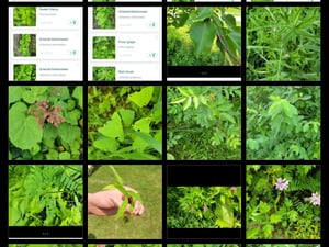 tempFileForShare_20230315-065018