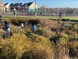 retentionpondcleanup