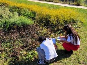 retentionpondobservation2