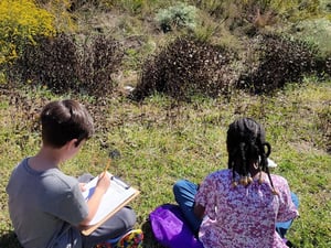 retentionpondobservation