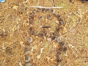 full_1StAKrbR4eUJ0JMS7b2z_20210111_112242